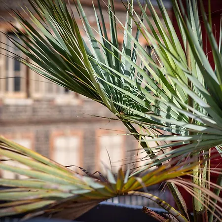Apartment L'olivier Lumineux Avec Agreable Terrasse