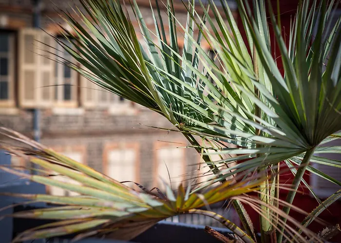 Apartment L'olivier Lumineux Avec Agreable Terrasse